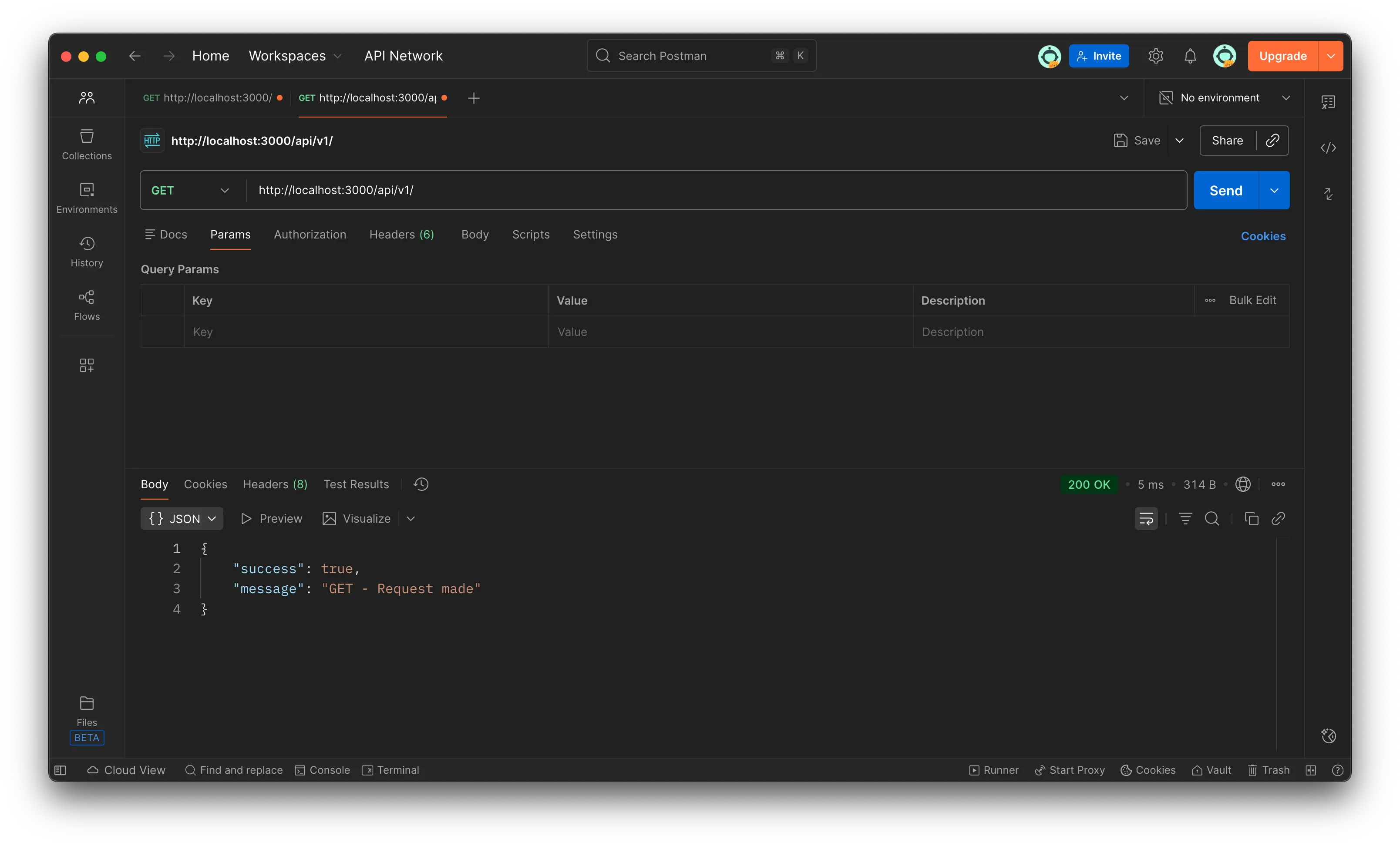 Screenshot of Postman showing GET response from localhost api v1 route